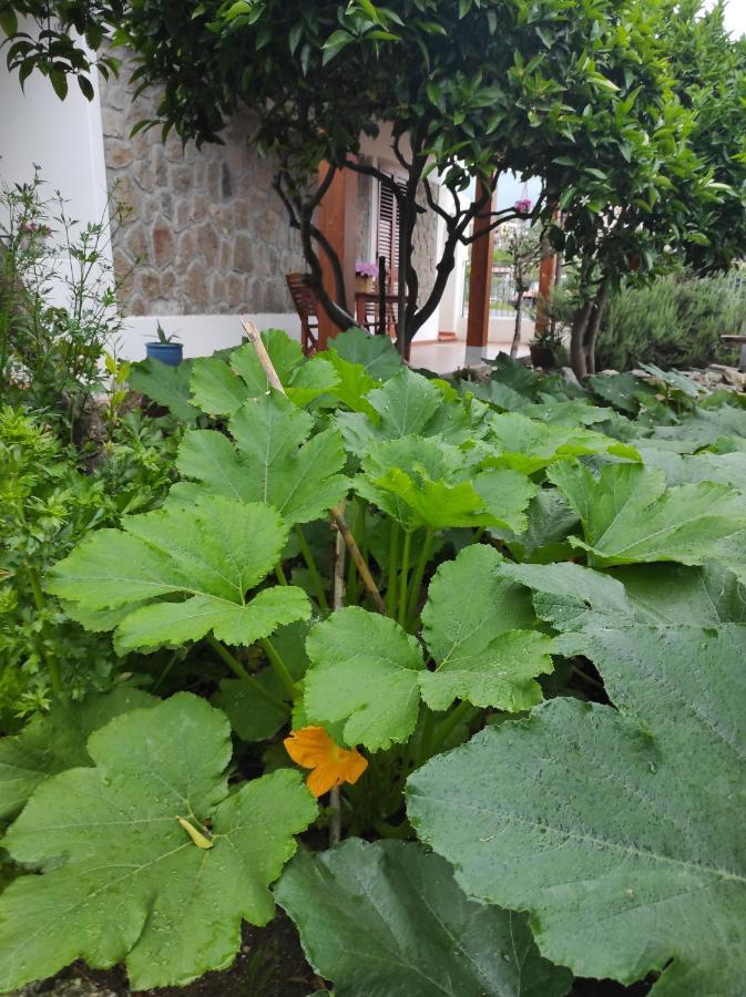 ליפארי Holiday Home Mennulita מראה חיצוני תמונה