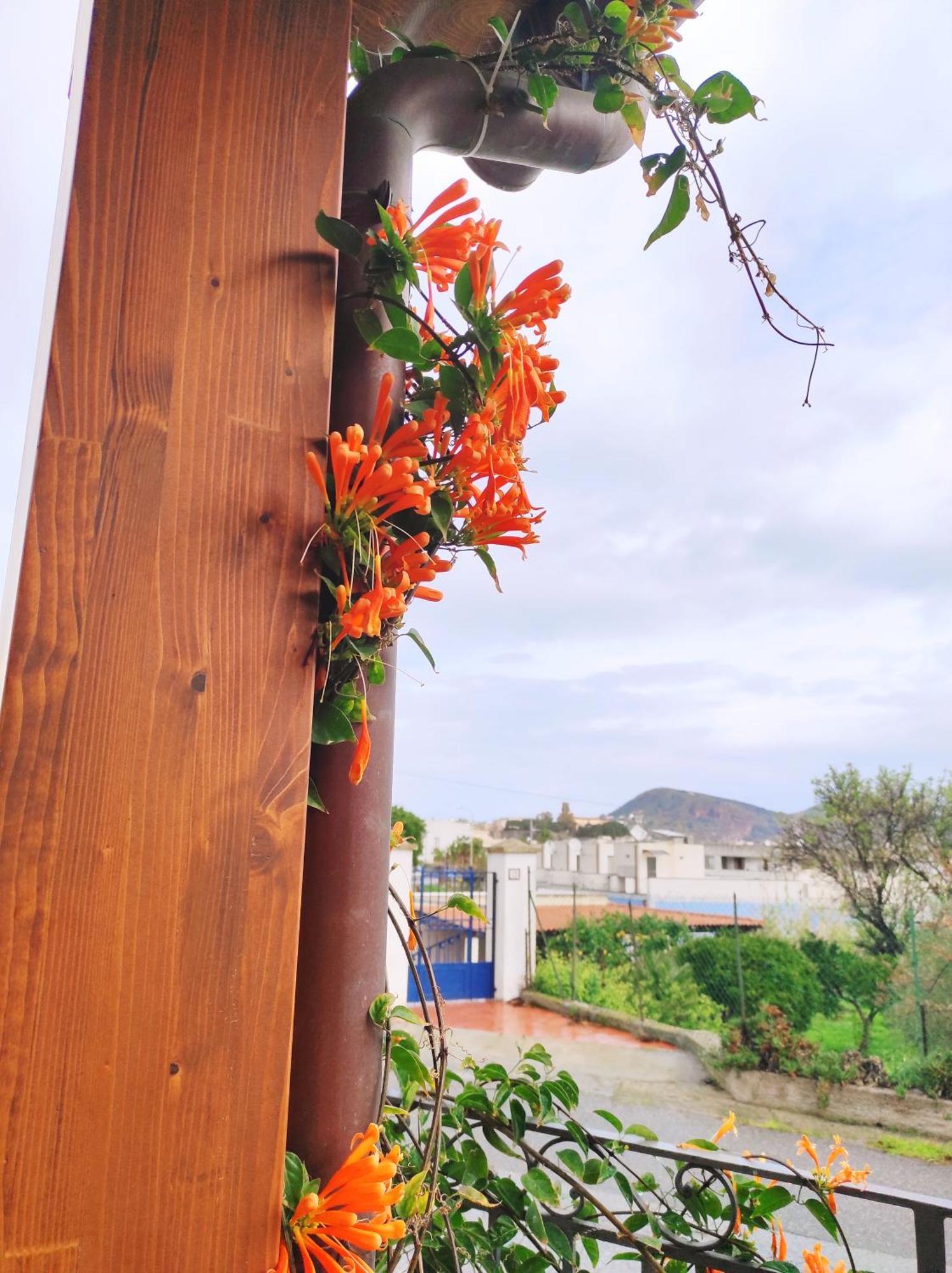 ליפארי Holiday Home Mennulita מראה חיצוני תמונה